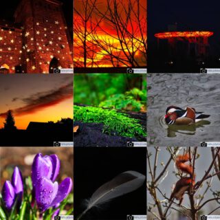 Jetzt wird's persönlich: Das sind meine neun Favoriten aus diesem Jahr. Ohne Reihenfolge und Priorisierung.
Im letzten Post des Jahresrückblicks wird dann ein kleines Fazit gezogen.

#fotografie #photography #photooftheday #like #best #natur #naturfotografie #nature #vogel #blüte #bunt #gelb #blau #tier #naturephotography #marzahnhellersdorf #mahe #marzahn #berlin #sun #sunset #sonne #sonnenuntergang

________

Mein Equipment:
Canon EOS 250D
Canon EF-S 18-55mm f/3.5-5.6 IS STM
Canon EF 75-300mm f/4-5.6 III
Rollei Premium UV Filter
Rollei & Hama Stative
GODEX LED Videoleuchte

________
© mahe.pictures
Alle Rechte an den Bildern liegen bei @mahe.pictures
Auf Anfrage per DM können im Falle von nicht kommerzieller Nutzung Creative Commons Lizenzen geschlossen werden.