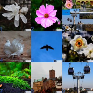 Und weiter geht's mit Teil 2: Die Bilder, die die größte Reichweite hier auf Instagram hatten.

#fotografie #photography #photooftheday #like #best #natur #naturfotografie #nature #vogel #blüte #bunt #gelb #blau #tier #naturephotography #marzahnhellersdorf #mahe #marzahn #berlin

________

Mein Equipment:
Canon EOS 250D
Canon EF-S 18-55mm f/3.5-5.6 IS STM
Canon EF 75-300mm f/4-5.6 III
Rollei Premium UV Filter
Rollei & Hama Stative
GODEX LED Videoleuchte

________
© mahe.pictures
Alle Rechte an den Bildern liegen bei @mahe.pictures
Auf Anfrage per DM können im Falle von nicht kommerzieller Nutzung Creative Commons Lizenzen geschlossen werden.