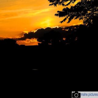 Es ist Mal wieder #sunsettime 

#fotografie  #photography #photooftheday #sonnenuntergang #sunset #natur #naturfotografie #nature #naturephotography #marzahnhellersdorf #mahe  #marzahn #berlin

________

Mein Equipment:
Canon EOS 250D
Canon EF-S 18-55mm f/3.5-5.6 IS STM
Canon EF 75-300mm f/4-5.6 III
Rollei & Hama Stative
GODEX LED Videoleuchte

________
© mahe.pictures 
Alle Rechte an den Bildern liegen bei @mahe.pictures 
Auf Anfrage per DM können im Falle von nicht kommerzieller Nutzung Creative Commons Lizenzen geschlossen werden.